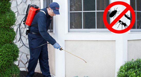 Çat Hamam Böceği İlaçlama böcek ilaçlama ve haşere kontrolü — ilaclama-tr.com